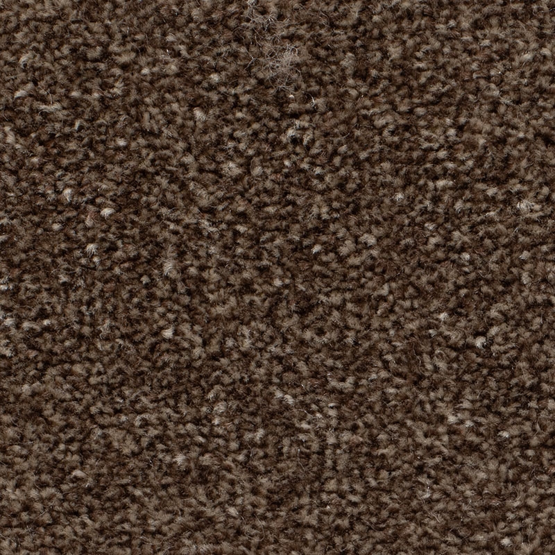 Apollo Plus Mahogany Carpet