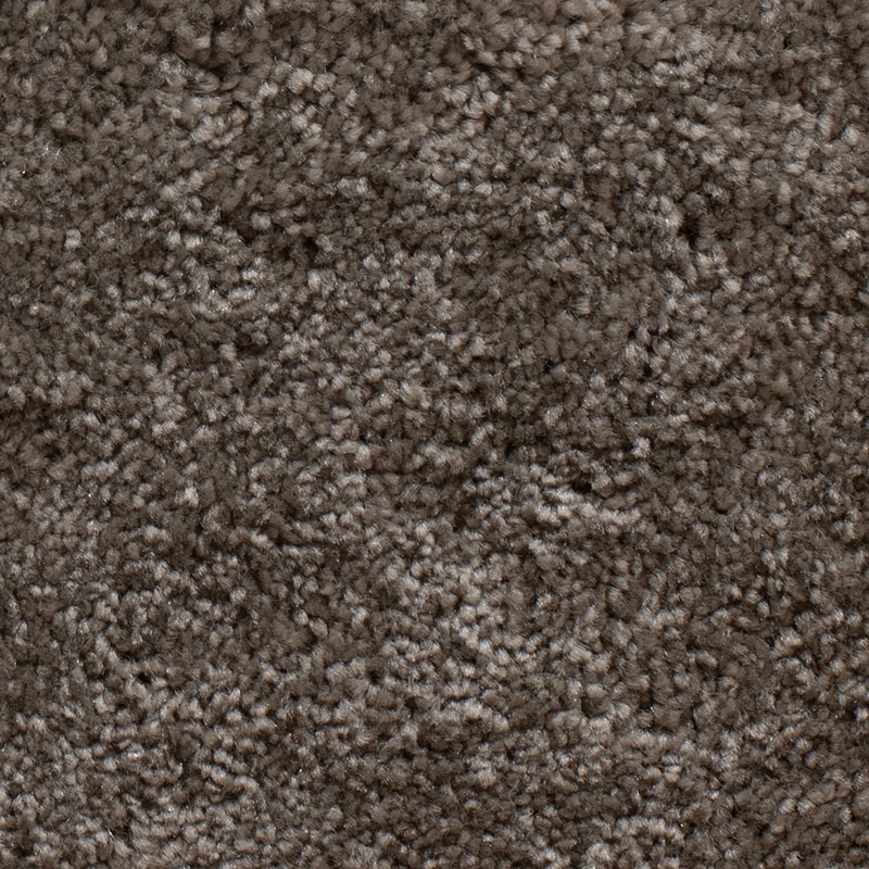 Panache Elite Seal Carpet