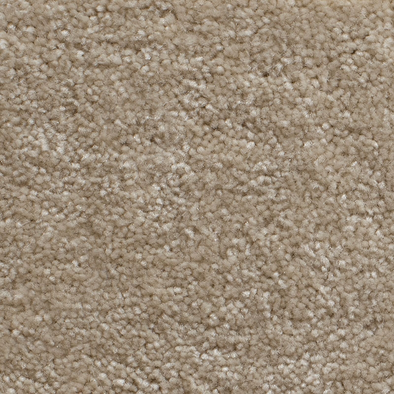Standard Twist Action Carpet