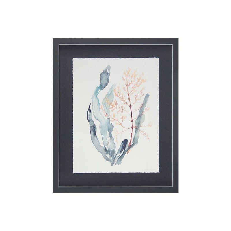 Sweet Seaweed II Framed Picture by Jennifer Goldberger