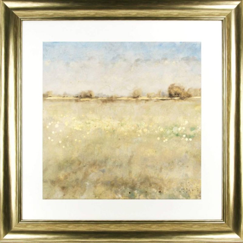 Golden Meadow ll Framed Print by Tim O Toole