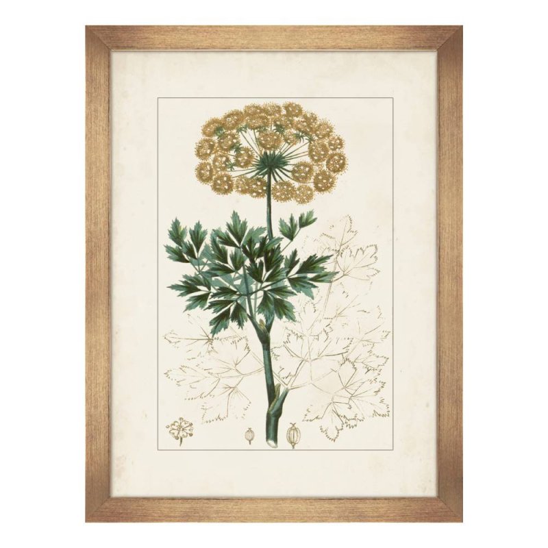 Antique Botanicals IV Framed Picture