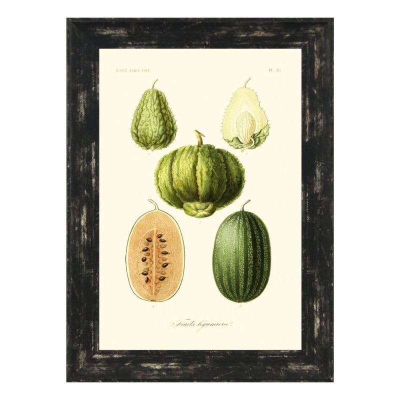 Antique Fruit & Vegetables ll Framed Print