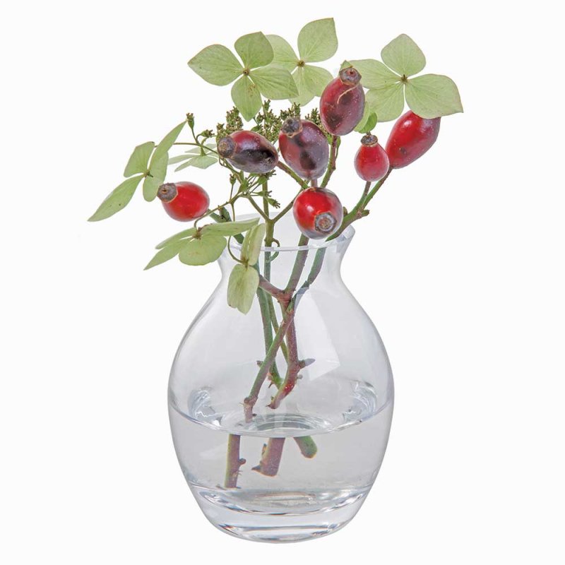 Flower Garden Bloom Vase