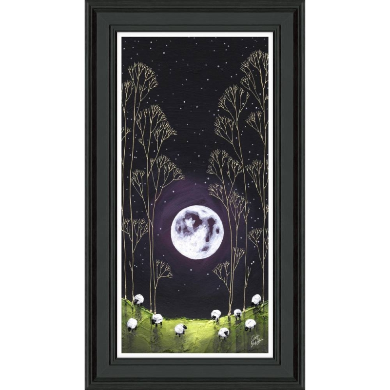 Bright Night