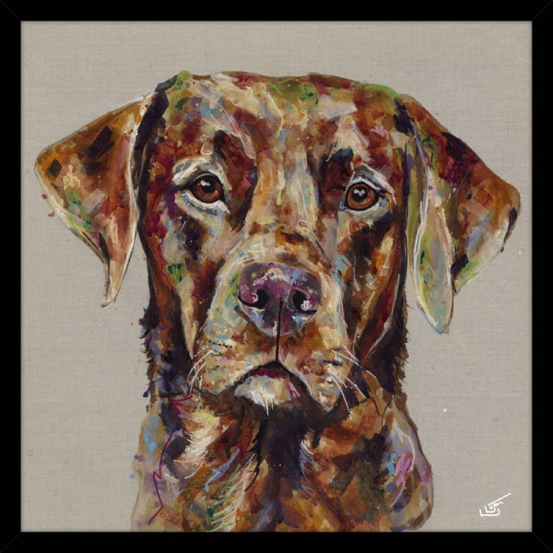 Red Fox Lab