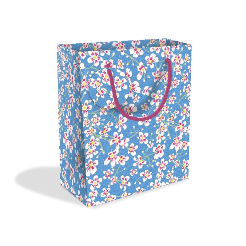 Medium Sized Gift Bag