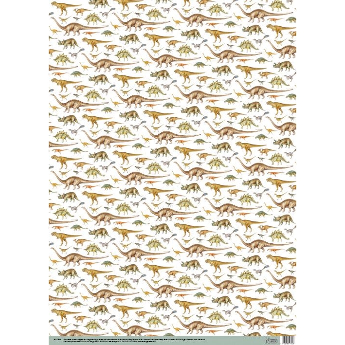 Dinosaur Gift Wrap