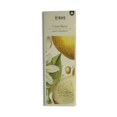 Heritage Citrus Burst Tealights