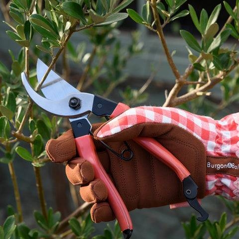 Collector Red Bypass Secateurs 