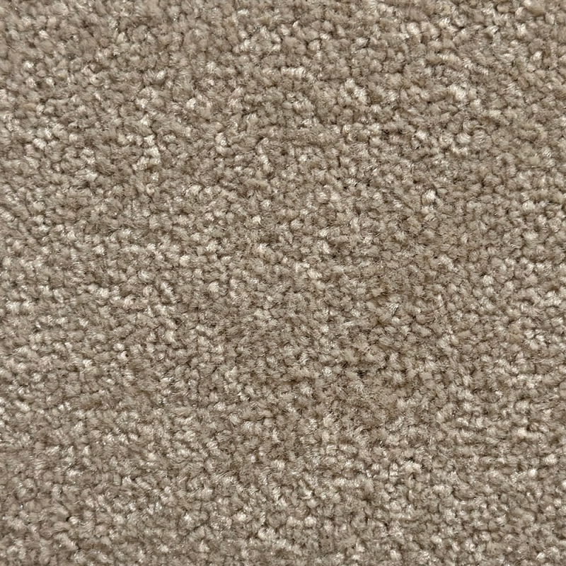 Primo Plus Cloudy Bay Carpet Roll End 3.83 x 4.86M