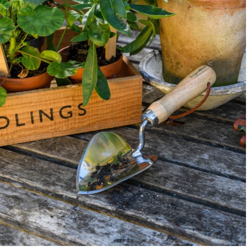RHS Stainless Planting Trowel