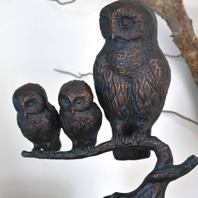 Owl Family