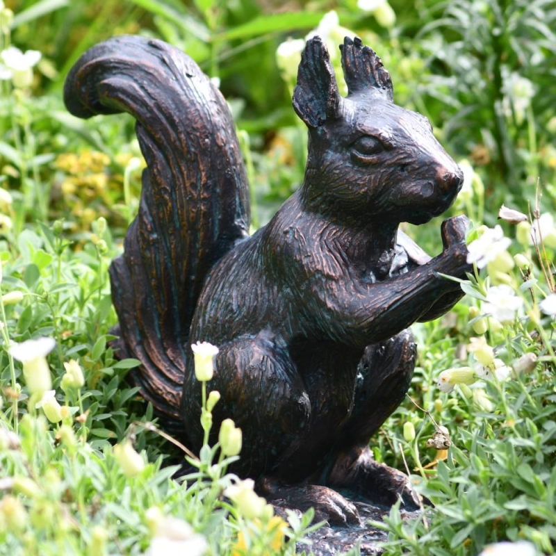 Red Squirel