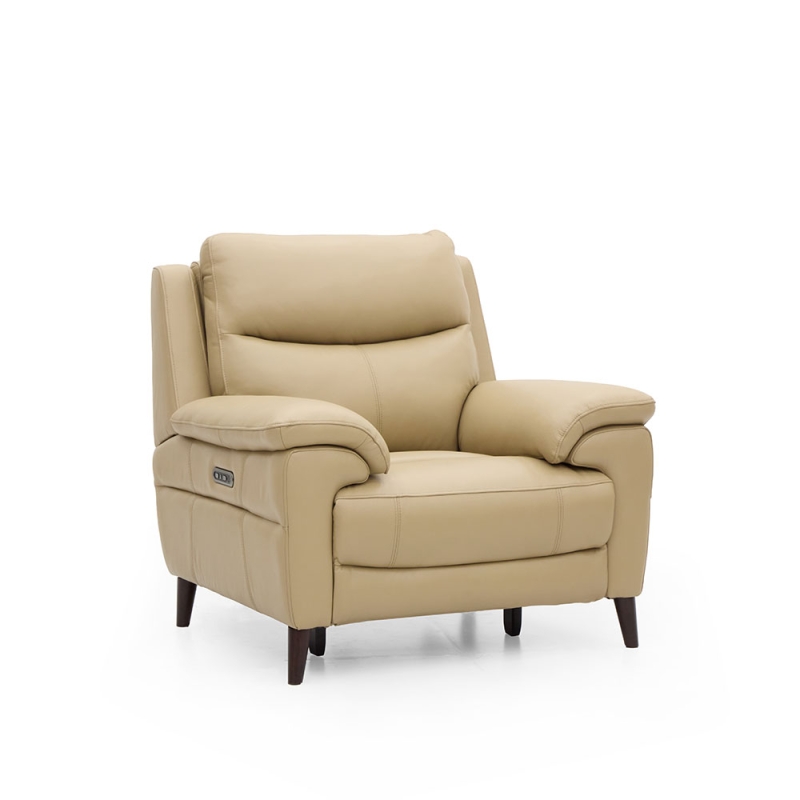 Detroit Chair Power Recliner & Head Tilt