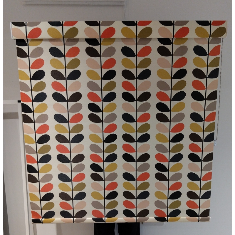 Roller Blind (Ipswich)