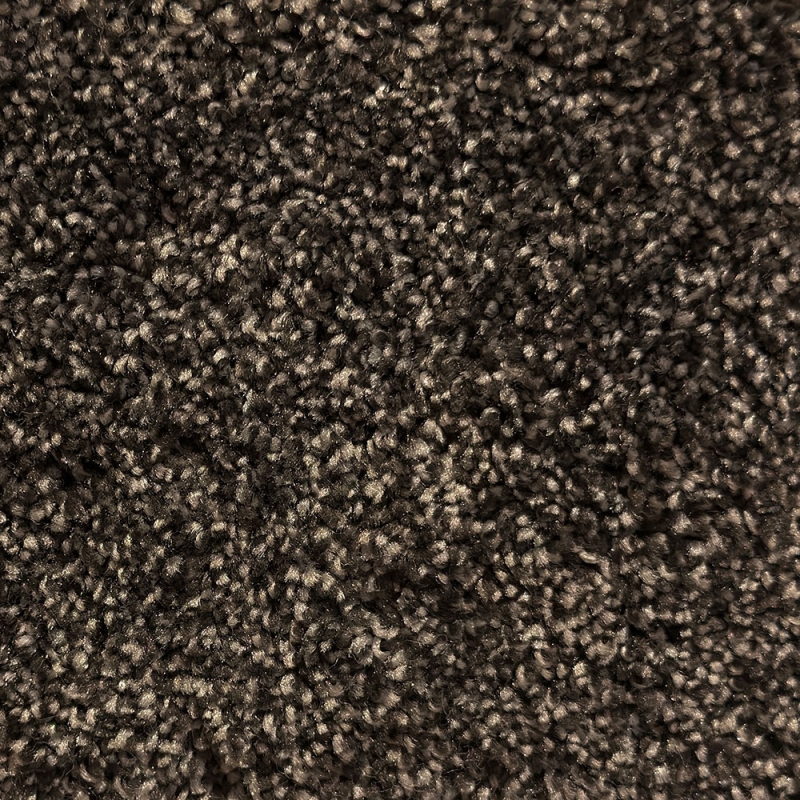 Temptation Elite Charcoal Carpet Roll End 3.95 x 3.10M