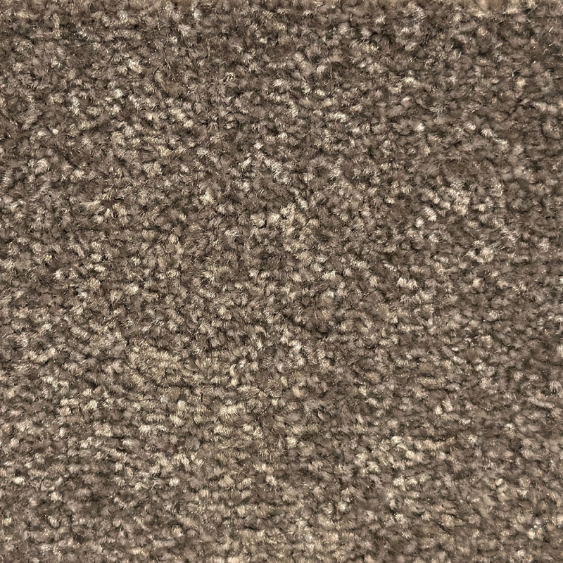 Apollo Plus Persian Doll Carpet Roll End 4.40 x 3.97M