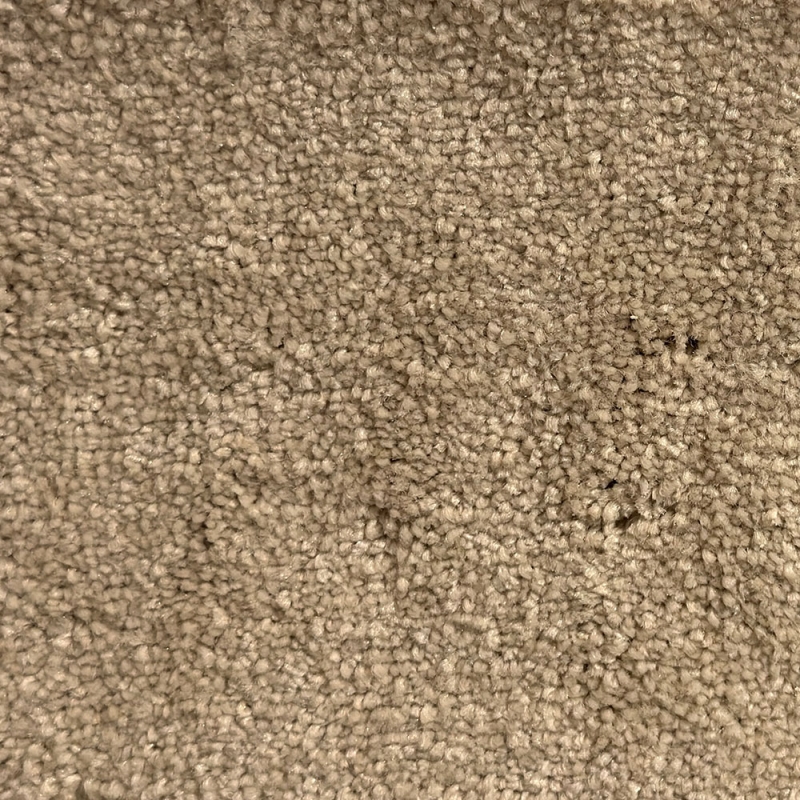 Pegasus Pride Carpet Roll End 3.40 x 3.95M