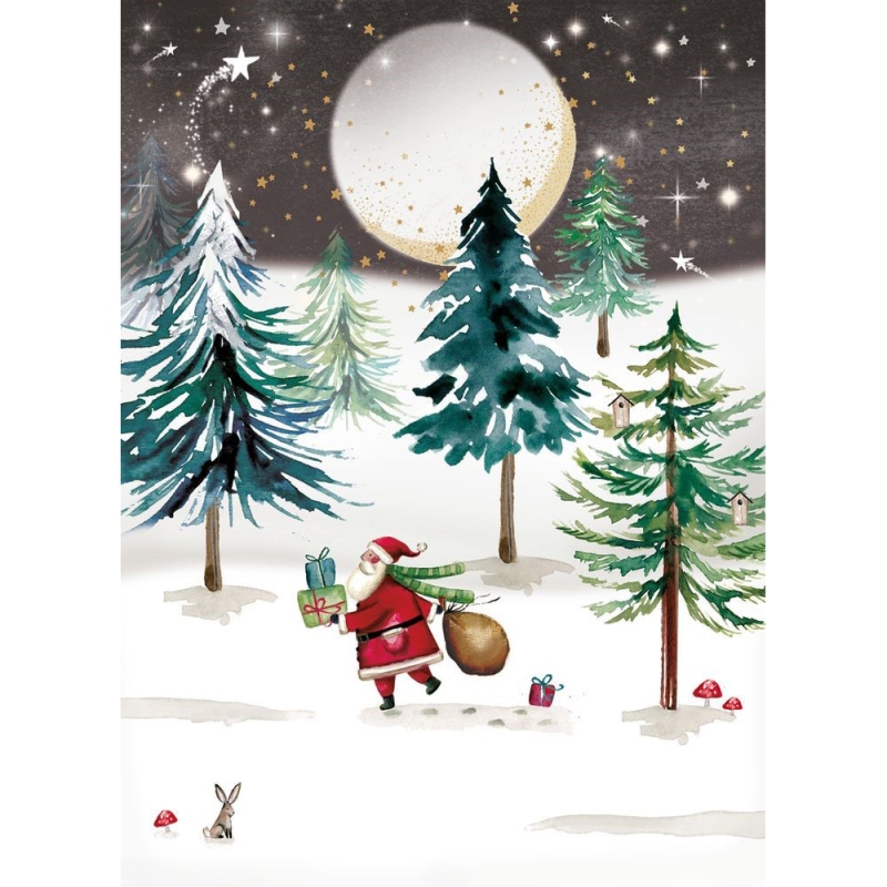 Moonlit Santa