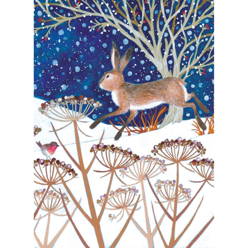 Night Snow