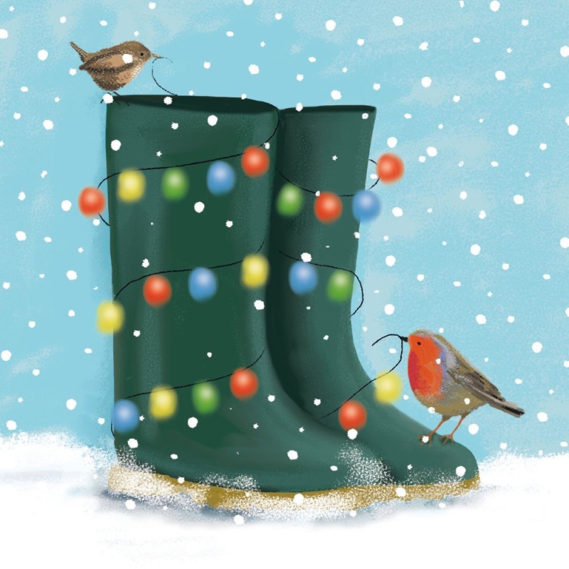 Xms boots