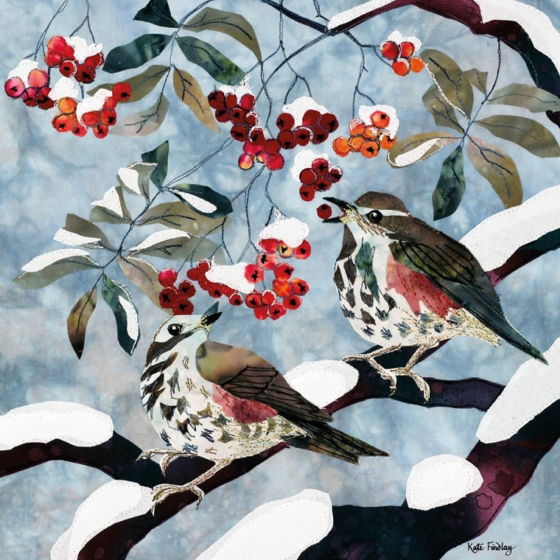 Redwings rowan