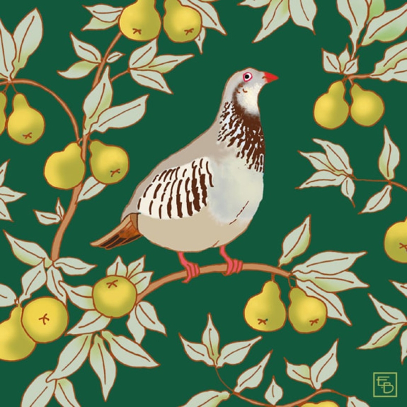 partrdige in  pear