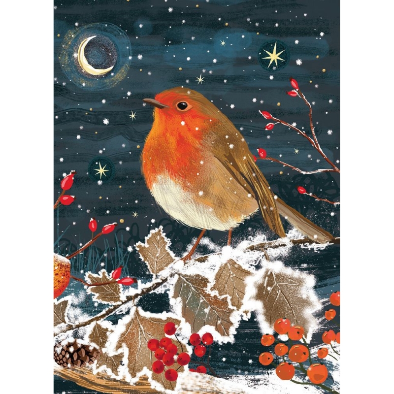 winters night