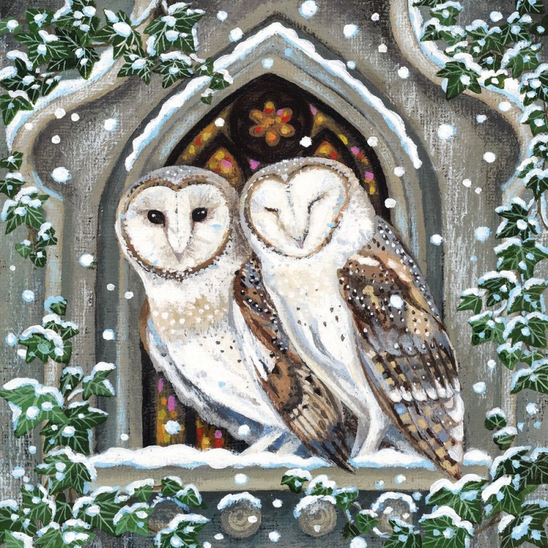 owls in a church