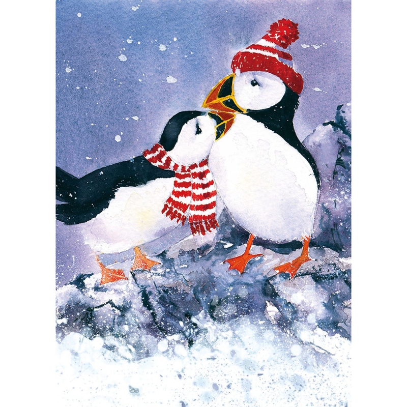 snowy puffin