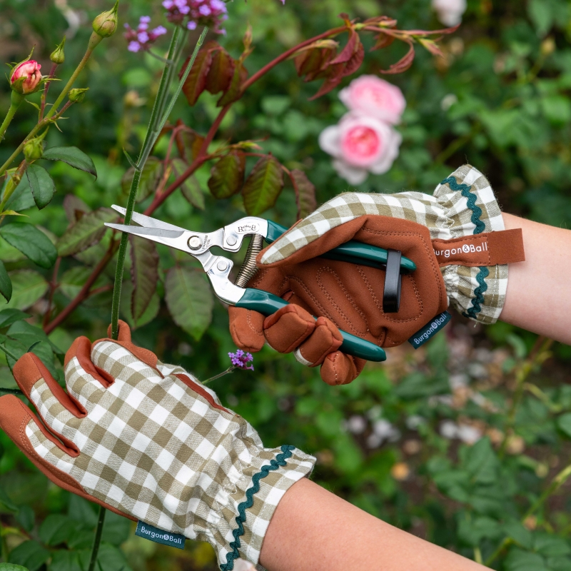 RHS Woodland Wonder Snips