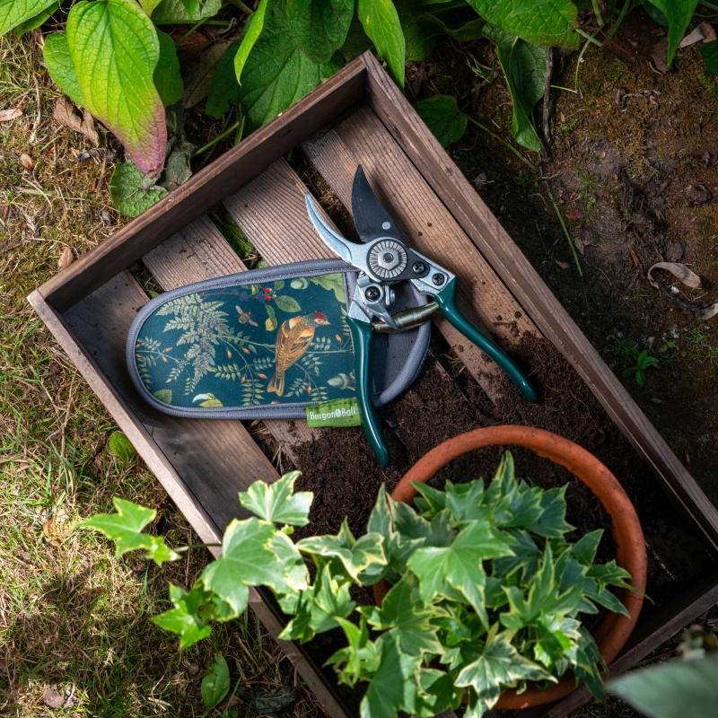 RHS Woodland Wonders Pruner & Holster