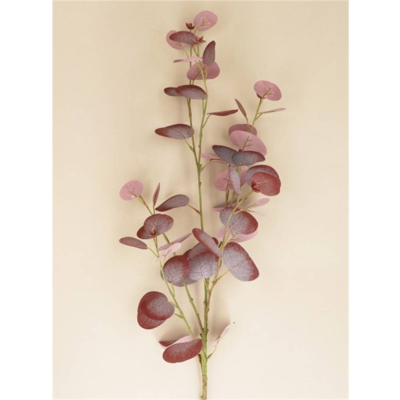 Gisela Gramham Purple Eucalpytus Branch
