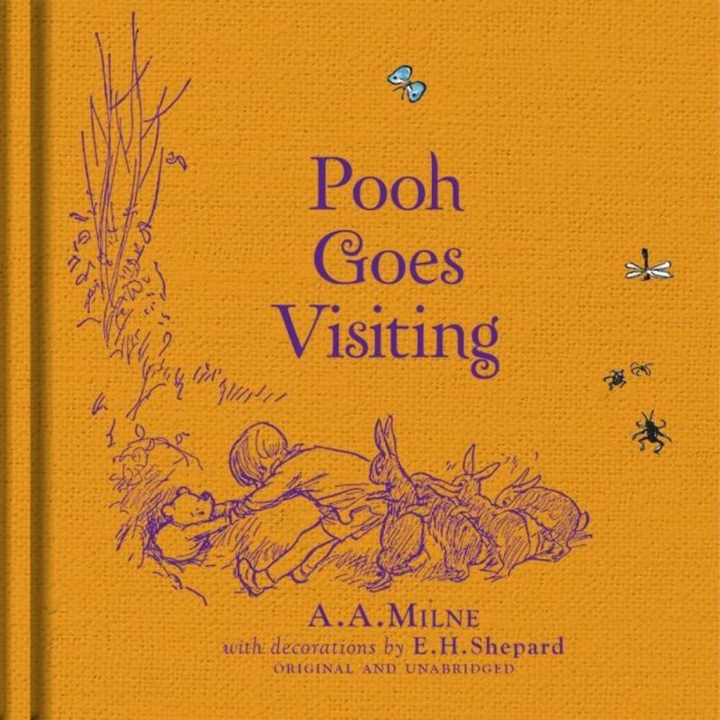 Pooh Goes Visiting Book