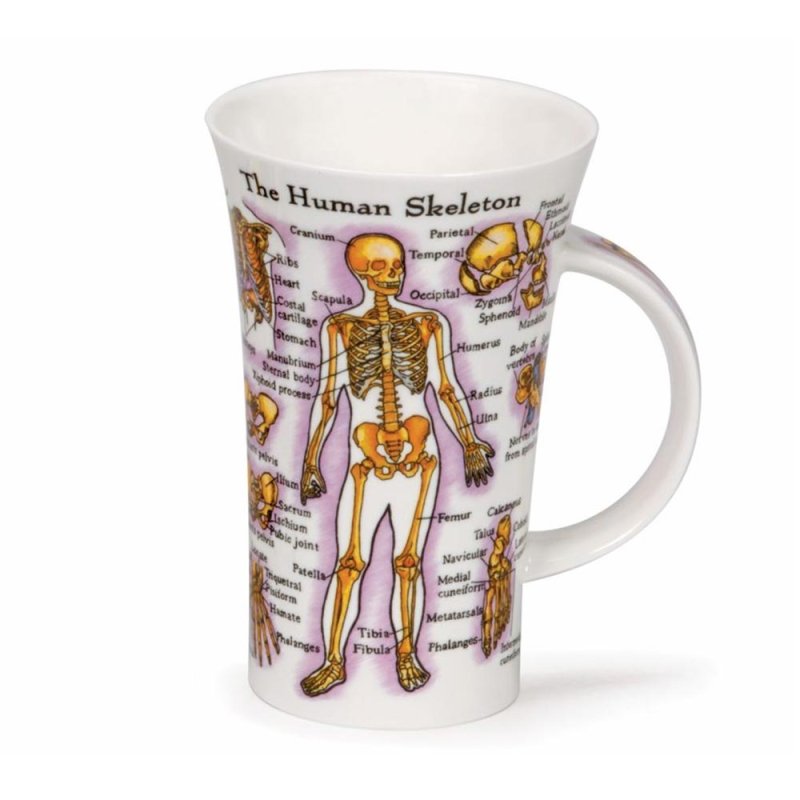 dunoon the human body mug