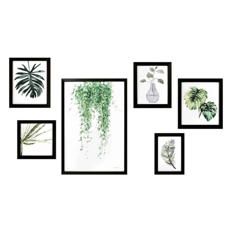 Plant Study Collection Framed Pictures (6 Piece Set)