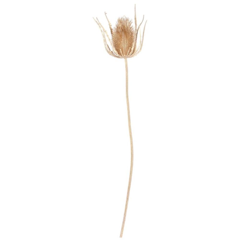 Gisela Graham Gold Metalic Thistle Stem - 70cm