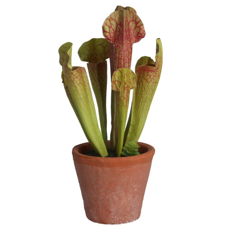 Gisela Graham Faux Green Sarracenia in Pot