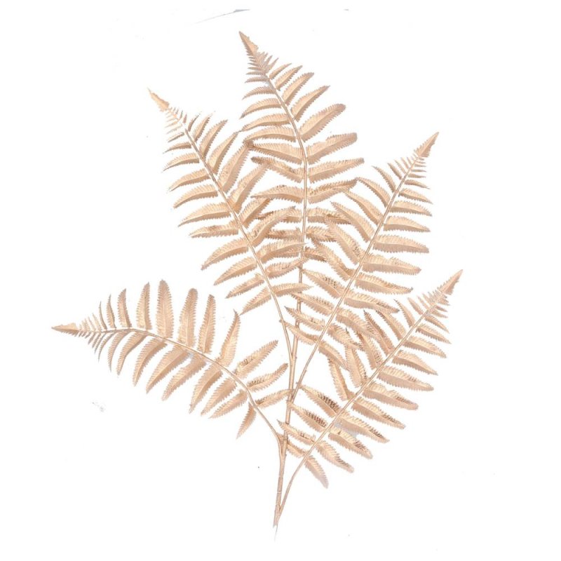 Gisela Graham Matt Gold  Fern Leaf Spray