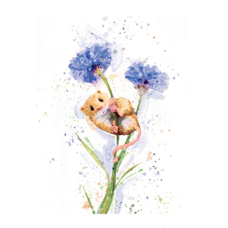 Mouse On Cornflower - Blank Greeting Card