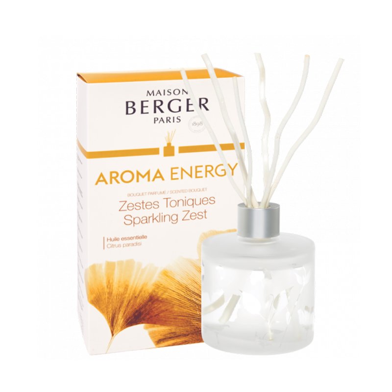 Maison Berger Sparkling Zest Diffuser