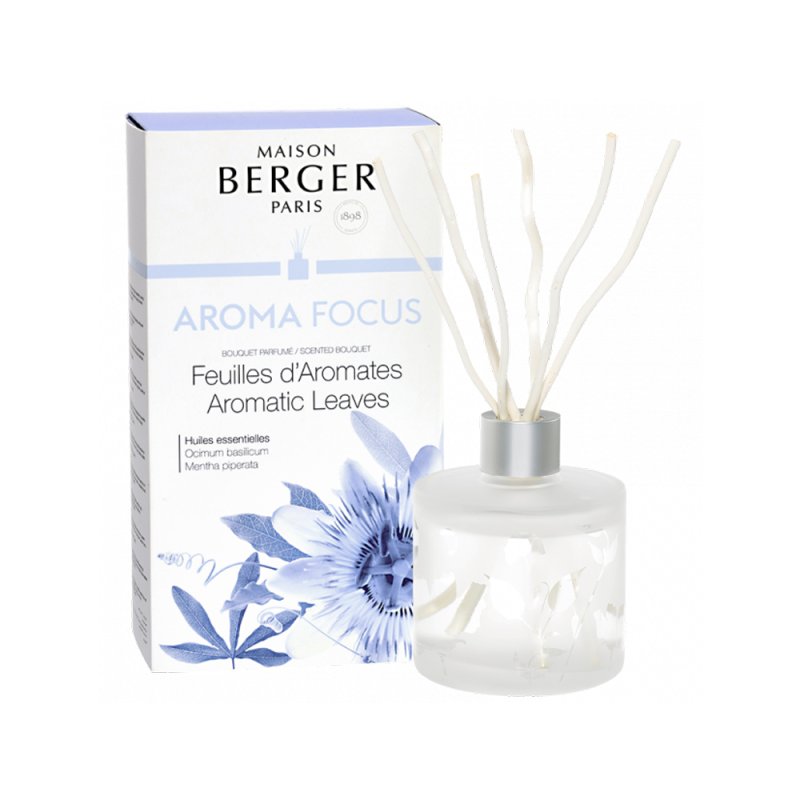 Aroma Focus Scented Diffuser