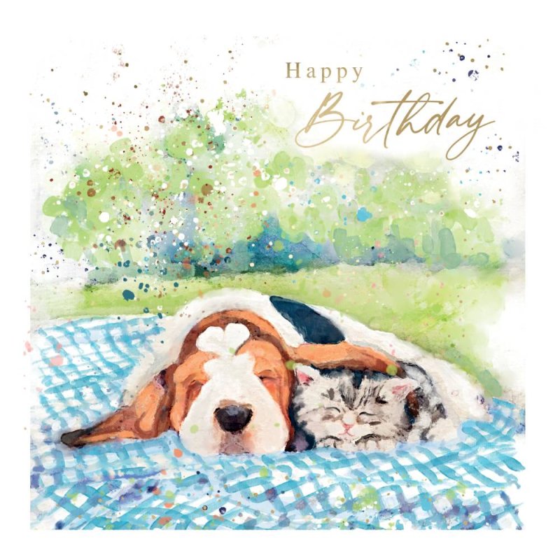 Dog and Cat On Picnic Rug Birthday Card