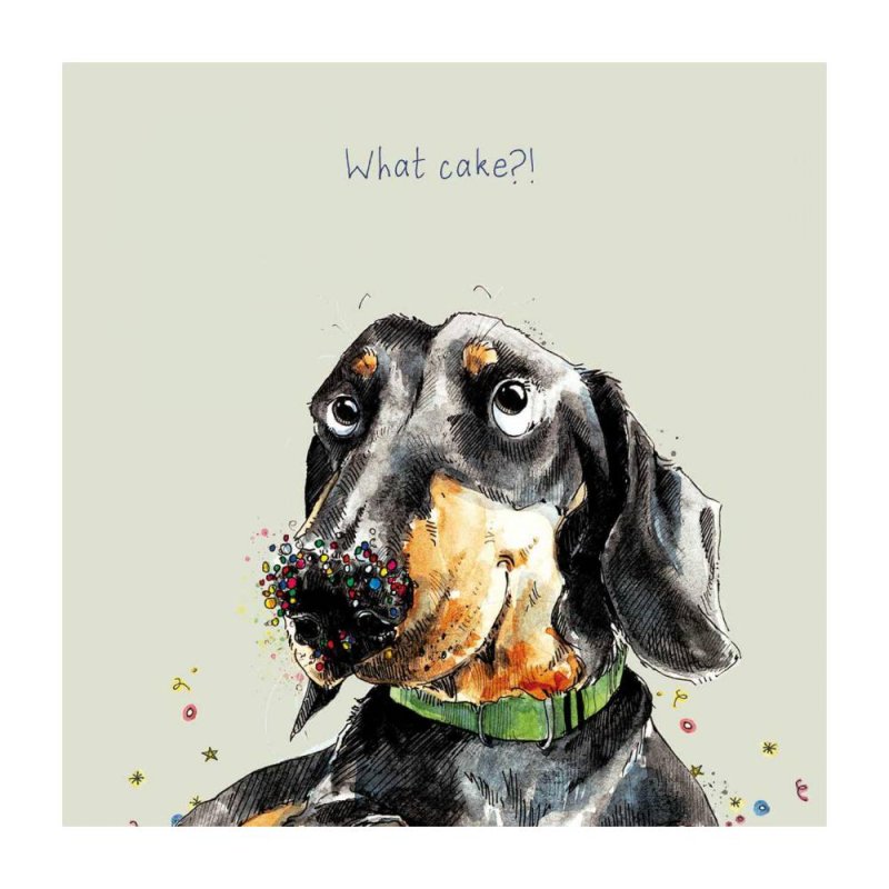 What Cake - Greeting Card