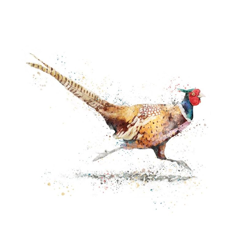 Pheasant - Blank Greeting Card