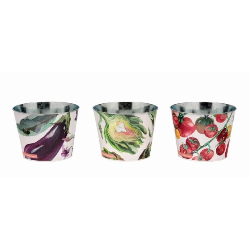 Emma Bridgewater Dig The Garden Set of 3 Plant Pots