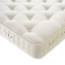 Orthocare Classic Divan Bed