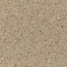 Sherwood Twist Carpet Seed 4m