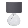 Organic Shape Clear Bubble Glass Table Lamp 